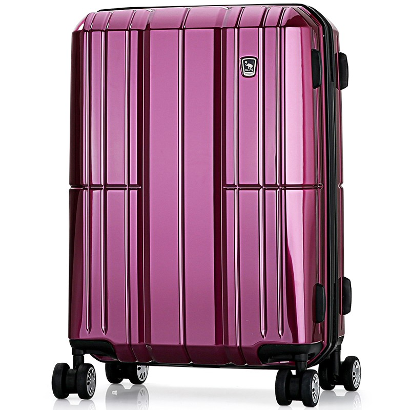 爱华仕（OIWAS）万向轮学生行李箱男 德国拜耳PC旅行密码箱 登机箱6176 商务拉杆箱 20英寸紫色